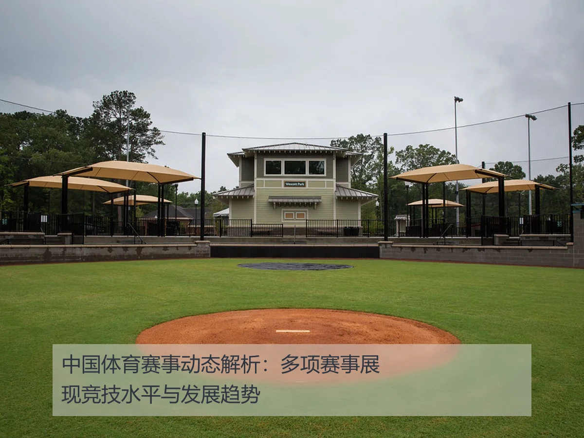中国体育赛事动态解析:多项赛事展现竞技水平与发展趋势