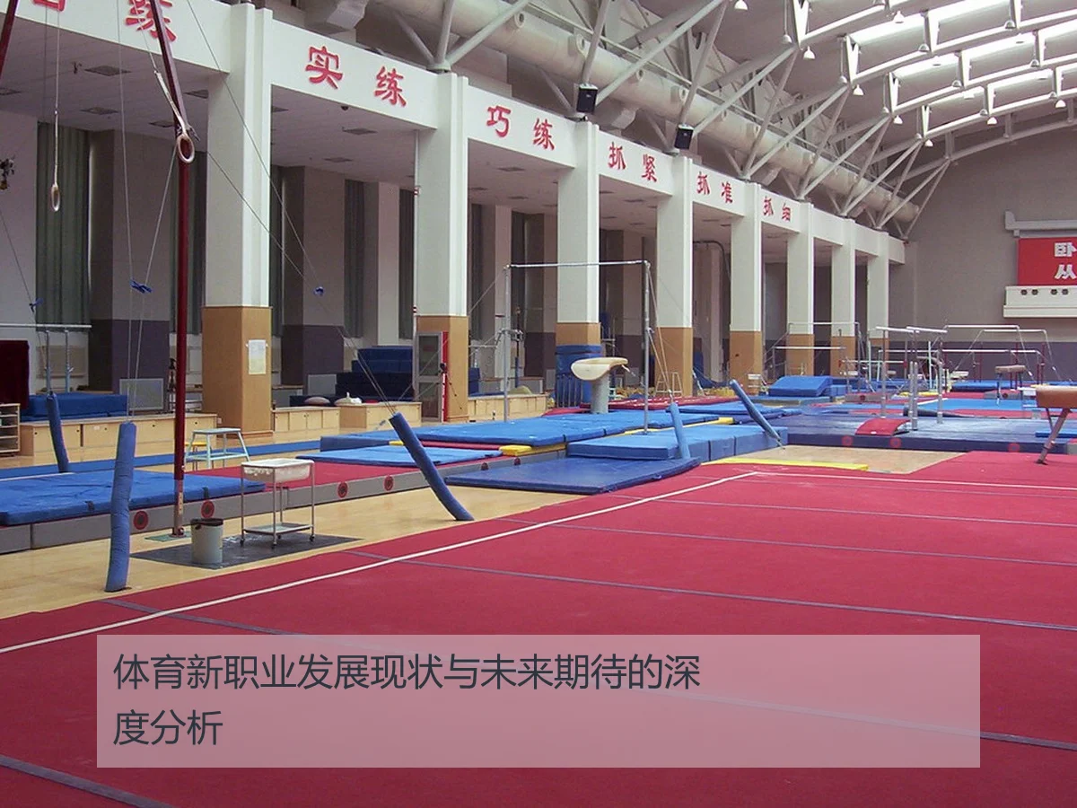 体育新职业发展现状与未来期待的深度分析
